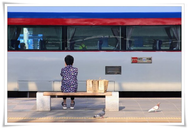 송세헌 제공