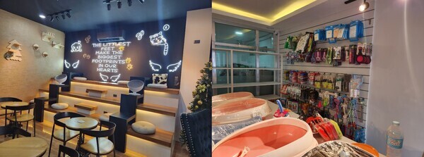 깨끗한 인테리어로 단장한 펫샵과 펫카페 / 뉴스티앤티