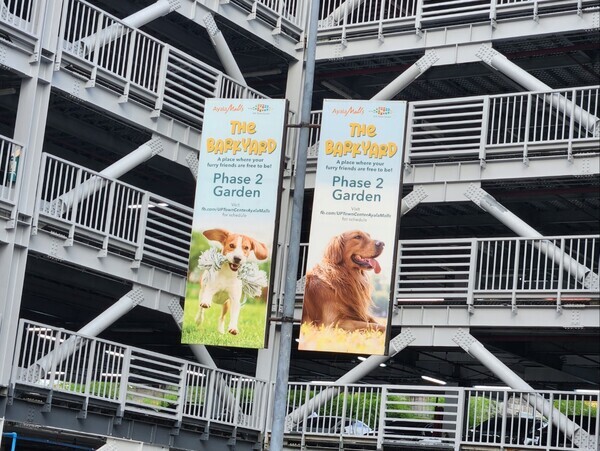 대형쇼핑몰의 반려견 행사 안내 베너 / 뉴스티앤티