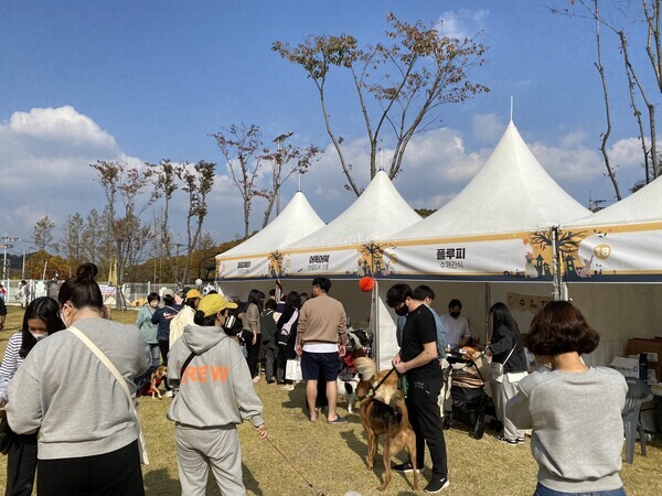 대전반려동물문화축제