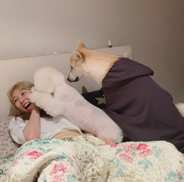 가수 현아와 유기견보호소에서 입양한 소금이와 햇님이 / 현아 인스타