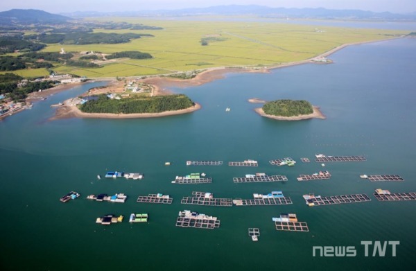 천수만 가두리 양식장 / 뉴스티앤티 DB