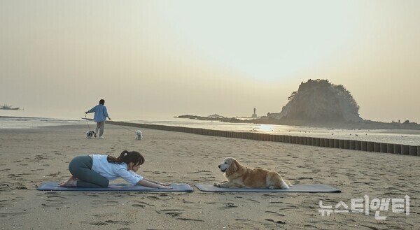 태안 꽃지해수욕장에서 반려동물과 함께 ‘도가(Dog+Yoga)’를 즐기는 모습 / 한국관광공사 제공