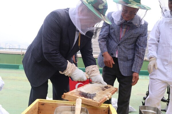 어기구 의원은 안상규꿀벌연구소 주최로 열린 '2023 국회 양봉장 꿀 뜨기 행사'에 참석하여 직접 채밀하며 꿀벌 집단폐사로 개체 수가 감소하고 있는 꿀벌의 중요성과 가치에 대한 관심을 촉구했다. / 어기구 의원 제공