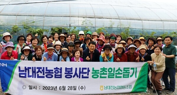 남대전농협은 28일 고향주부모임 남대전지회 회원들과 함께 서구 관저동에 위치한 포도농가를 방문해 농촌일손돕기를 진행했다고 밝혔다. / 농협대전지역본부 제공