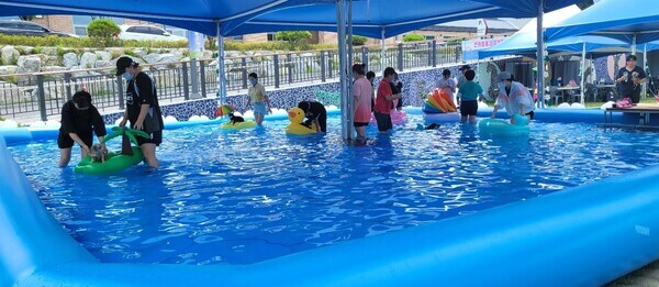 대전시 동물보호사업소가 오는 25일부터 8월 11일까지 대전반려동물공원 내 다목적광장에 '반려동물과 함께하는 물놀이장’을 운영한다. / 대전시 제공