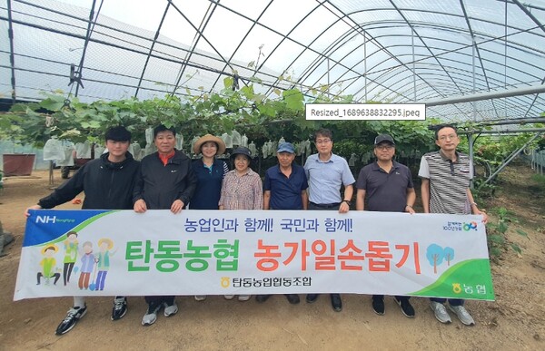 대전 탄동농협은 지난 18일 충북 옥천군 소재 일손이 부족한 조합원 포도 재배 농가를 찾아 농촌일손돕기를 실시했다고 밝혔다. / 농협대전지역본부 제공