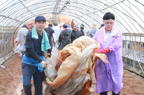 국민의힘 이명수 의원은 24일 충북 청주시 흥덕구 오송읍 호계리에 위치한 비닐하우스에서 국민의힘 아산시 당원협의회와 수해복구 봉사활동을 펼쳤다고 밝혔다. 사진은 이명수 의원과 홍순철 아산시의원이 폐비닐을 수거하느라 구슬땀을 흘리는 모습(사진 왼쪽부터 홍순철 아산시의원, 이명수 의원). / 이명수 의원 제공
