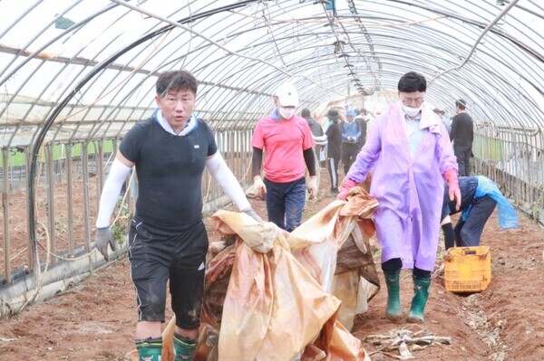 국민의힘 이명수 의원은 24일 충북 청주시 흥덕구 오송읍 호계리에 위치한 비닐하우스에서 국민의힘 아산시 당원협의회와 수해복구 봉사활동을 펼쳤다고 밝혔다. 사진은 이명수 의원과 윤원준 아산시의원이 폐비닐을 수거하느라 구슬땀을 흘리는 모습(사진 왼쪽부터 윤원준아산시의원, 이명수 의원). / 이명수 의원 제공