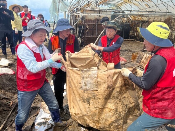 국민의힘 천안을 당원협의회는 지난 26일 청양군 장평면 분향리 77번지 수해 비닐하우스 현장을 찾아 복구활동을 펼친 가운데, 김기현 당대표와 이정만 천안을 당협위원장 등이 폐비닐 등을 제거하느라 구슬땀을 흘리고 있다(사진 왼쪽에서 첫 번째 김기현 당대표, 세 번째 이정만 당협위원장). / 국민의힘 천안을 당원협의회 제공