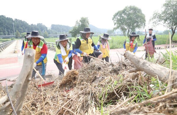 대전시의회가 2일 집중호우로 유등천 둔치에 떠내려온 잔재물을 수거하는 수해복구 활동에 나섰다. / 대전시의회 제공
