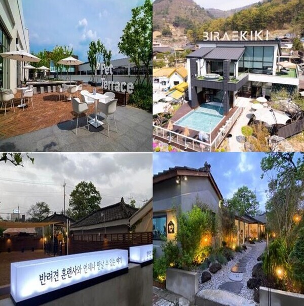 대전관광공사는 반려동물을 환영하고, 반려동물과 반려인에게 안전하고 편안한 환경과 편의를 제공하는 관내 13개 업체를 ‘대전 반려동물 친화(Pet-Friendly) 인증 업체'로 선정했다고 11일 밝혔다.