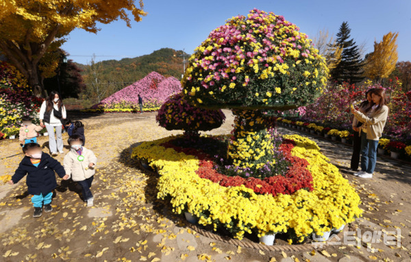 대전 동구는 오는 26일부터 내달 5일까지 대청호의 아름다운 수변공원에 위치한 대청호자연생태관에서 ‘2023년 대청호반 국화전시회’를 개최한다고 밝혔다. (사진=지난해 전시회 / 동구 제공)