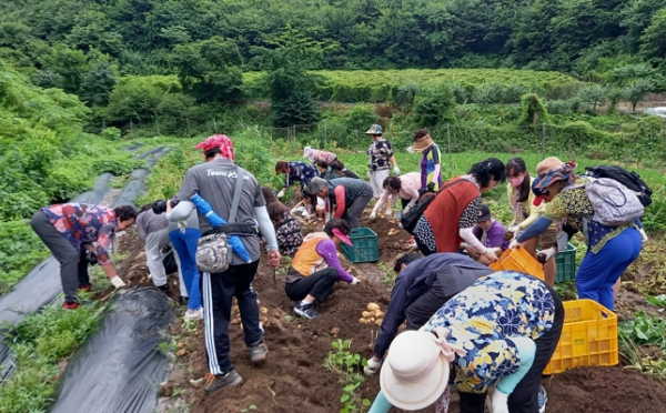 공주시, 농촌체험휴양마을 방문객 크게 늘어