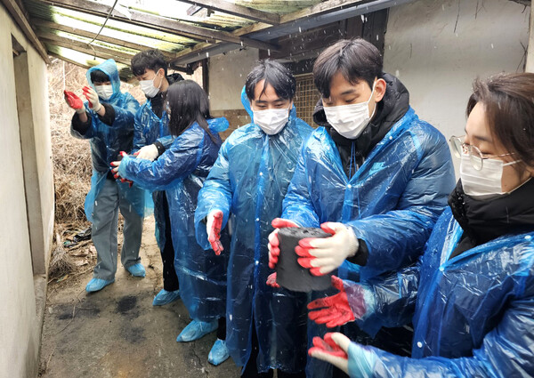 신한투자증권 신입직원들이 17일 강화도에서 봉사활동을 진행했다