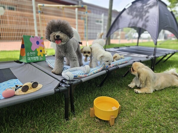 순천만국가정원박람회장 반려견 놀이터/전남도