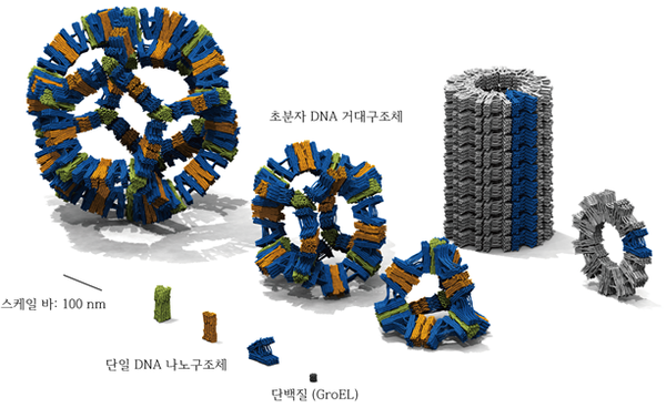 AI 모델로 예측한 DNA 종이접기 나노구조체