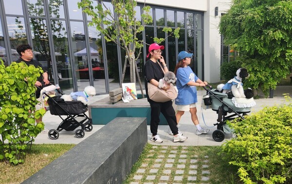 반려동물과 함께 쇼핑하며 반려동물축제를 즐기는 관람객