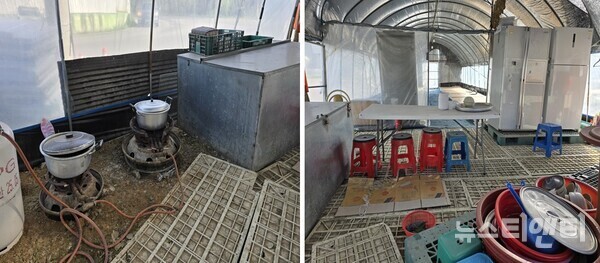 비닐하우스 내부. 각종 취사도구를 비롯해 LPG 가스통과 가스 버너, 식탁, 냉장고 등이 설치되어 있다. 