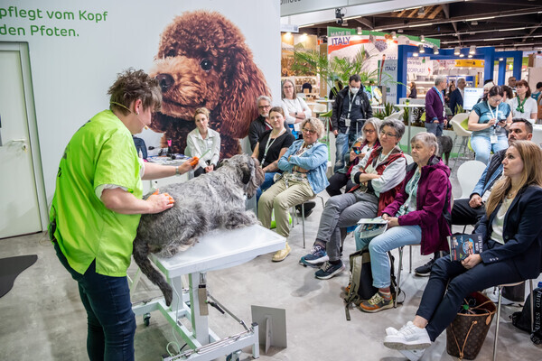 국제 펫 박람회 '인터주2024'(InterZoo2024) 현장(애견미용 시범) / 펫산업연합회 제공