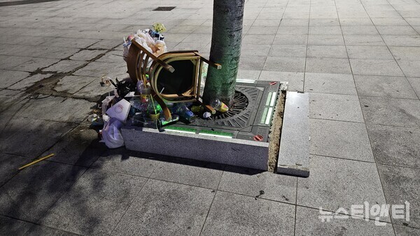 평화광장 주변 가로수 보호판 위에 각종쓰레기로 몸살을 앓고 있다./박용하 기자