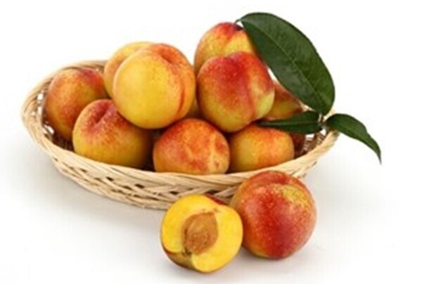 망고복숭아 ‘옐로드림’. 향이 좋고 달콤한 털복숭아 '백향'과 모양이 예쁜 천도 '로매머1'을 교배해 육성한 품종이다. / 농촌진흥청 제공