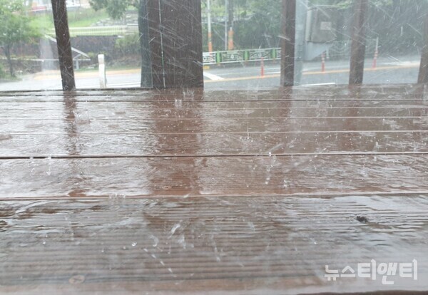 장맛비 / 뉴스티앤티