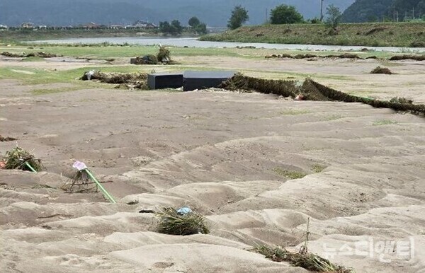 혈세를 투입해 조성한 금산군 봉황천 수변부지 파크골프장이 지난 10일 내린 호우로 잔디가 모두 쓸려 나가고 뻘밭, 모래밭으로 변해버렸다. 준공 열흘 만이다. 금산군 봉황천 파크골프장은 지난 1월 착공해 6월 말 준공했다. 사업비는 총 21억 8천600만원이 투입됐다. / 뉴스티앤티