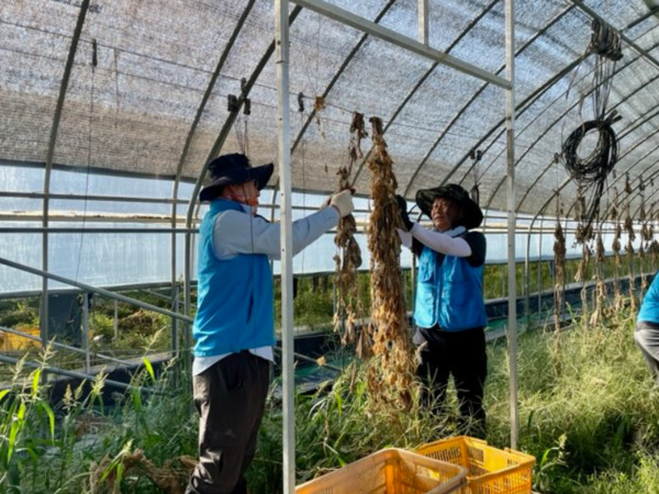 남대전농협은 30일 농협중앙회 대전본부와 농산물품질관리원 충남지원 임직원들과 함께 농촌일손돕기를 실시했다고 밝혔다. / 농협대전지역본부 제공