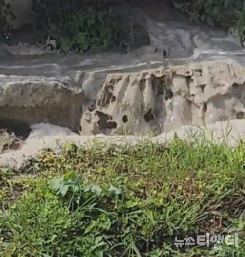 공사 현장에서 흘러 나온 생콘크리트 지하수 혼합물이 후곤천으로 콸콸콸 쏟아져 내리고 있다. / 주민 제보 영상 캡처