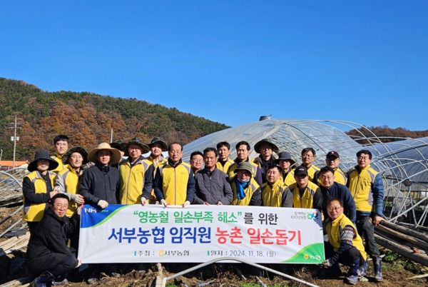 대전 서부농협은 18일 올여름 집중호우로 피해를 입은 서구 용촌동의 오이 농가를 방문하여 수해복구 비닐하우스 해체 봉사활동을 진행했다고 밝혔다. / 농협대전지역본부 제공