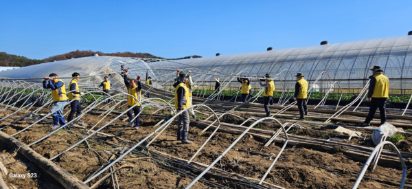 대전 서부농협은 18일 올여름 집중호우로 피해를 입은 서구 용촌동의 오이 농가를 방문하여 수해복구 비닐하우스 해체 봉사활동을 진행했다고 밝혔다. / 농협대전지역본부 제공
