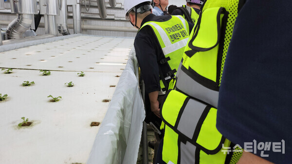 김제 스마트팜 혁신밸리 임대형 농장의 부실 시공관련 의혹에 대해 전문가 들이 현장을 둘러 보고 있다. (2024 09 03) / 뉴스티앤티 ⓒ조주연 기자