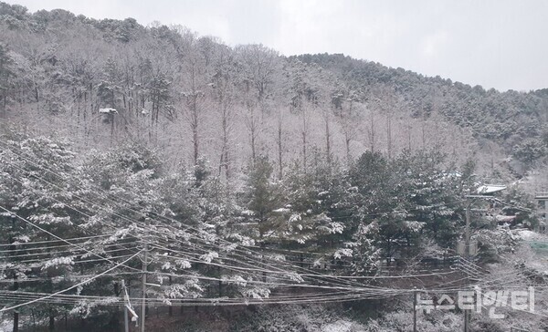 설경(2025.3.18) / 뉴스티앤티