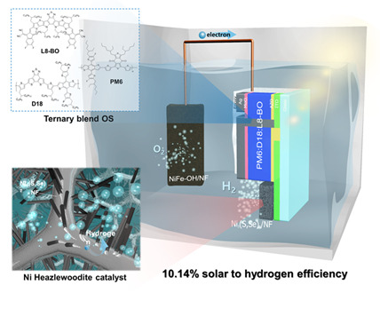 통합된 광전극과 NiFe-OH 양극으로 구성된 전체 장치의 개략도