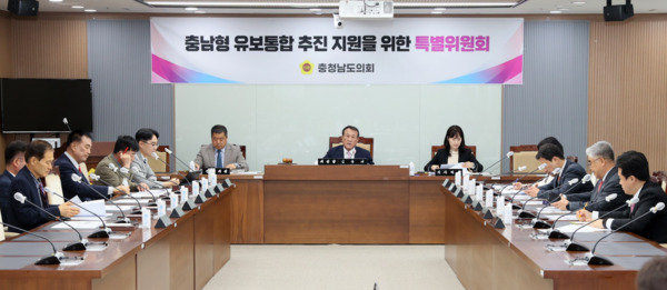 충남도의회는 21일 '충남형 유보통합 추진 지원을 위한 특별위원회'가 제3차 회의를 개최하고, 2025년도 주요업무 추진계획을 청취했다고 밝혔다. / 충남도의회 제공