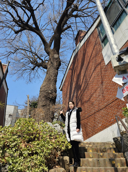 종로구의회는 지난 3월 19일 박희연 의원이 주민들의 안전을 위해 종로구청 도시녹지과와 함께 현장을 점검하고, 위험수목 진단을 거쳐 지난 23일 위험수목 가지치기 및 제거 작업을 완료했다고 밝혔다. / 박희연 의원 제공