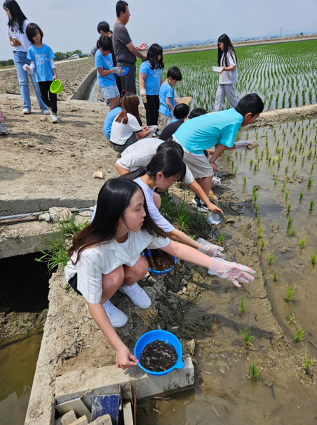 시민단체 '소들섬을 사랑하는 사람들'은 9일 당진시 소들섬 근처인 우강면 부장리 441-4번지 논에서 한정초등학교 학생들 40여 명을 대상으로 생태체험 활동을 진행한 가운데, 학생들이 우렁이 30Kg과 미꾸라지 60Kg을 논에 넣어주는 체험활동을 진행하고 있다. / '소들섬을 사랑하는 사람들' 제공