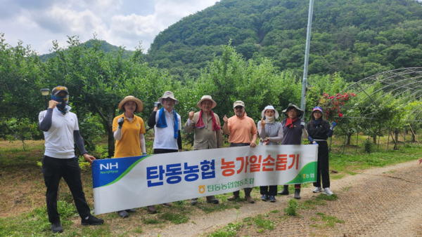 대전 탄동농협은 지난 9일 영농철을 맞아 공주시 반포면 일손이 부족한 조합원 복숭아 농가를 찾아가 구슬땀을 흘리며 일손을 도왔다고 밝혔다. / 농협대전지역본부 제공