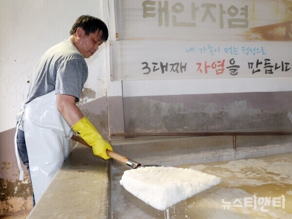 9일 근흥면의 농업법인에서 자염을 생산하고 있다. / 태안군 제공