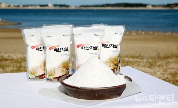 9일 근흥면의 농업법인에서 자염을 생산하고 있다. / 태안군 제공