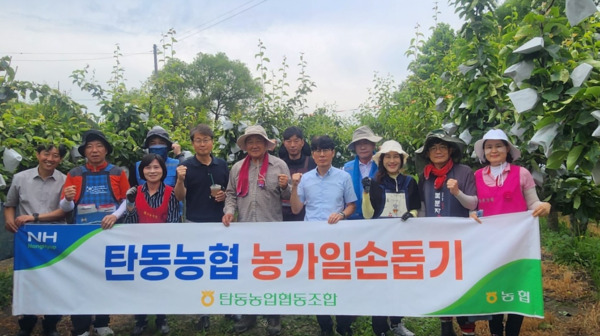 대전 탄동농협은 13일 유성구 안산동에 일손이 부족한 조합원 배 재배 농가를 찾아가 부족한 일손을 도왔다고 밝혔다. / 농협대전지역본부 제공