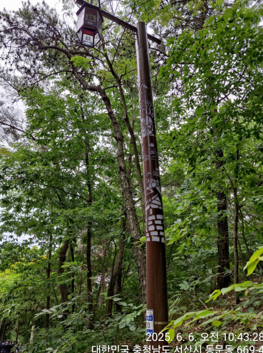 서산시의회는 지난 13일 더불어민주당 최동묵 의원이 2025년 행정사무감사 민원봉사과 감사에서 관내 열주형(경관조명) 가로등의 구조적 문제를 지적하며, 시민 안전을 위한 전면 개선을 강력히 촉구했다고 밝혔다. / 최동묵 의원 제공