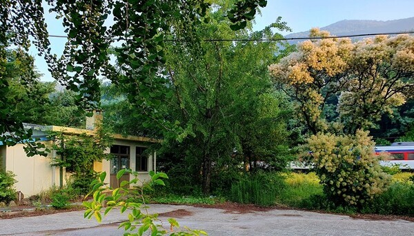 현재의 미륵역사(충북 영동군 영동읍 가리 892-10) 필자 제공