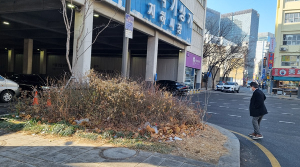 종로구의회는 11일 이광규 의원이 낙원악기상가 사거리 자투리 화단의 구조적 문제와 관리 부실로 인한 주민 불편 사항을 해소하며, 현장의 민원을 구정질문을 통해 행정에 반영시키는 성과를 거뒀다고 밝혔다. 사진은 짜투리 화단 정비 전 모습 / 이광규 의원 제공