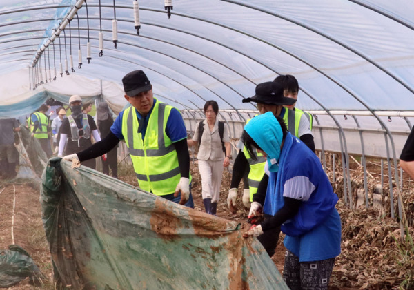 더불어민주당 지도부와 충남도당은 21일 극한호우로 큰 피해를 입은 예산군 신암면 호우피해 현장을 방문해 복구 봉사활동에 나섰다고 밝혔다. / 더불어민주당 충남도당 제공