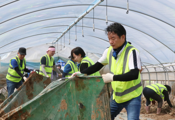 더불어민주당 지도부와 충남도당은 21일 극한호우로 큰 피해를 입은 예산군 신암면 호우피해 현장을 방문해 복구 봉사활동에 나섰다고 밝혔다. / 더불어민주당 충남도당 제공