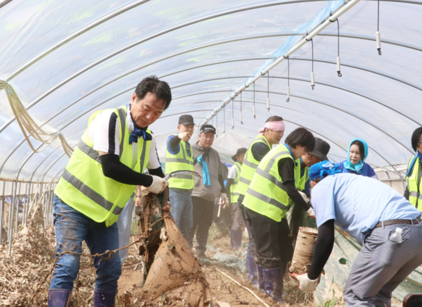 더불어민주당 지도부와 충남도당은 21일 극한호우로 큰 피해를 입은 예산군 신암면 호우피해 현장을 방문해 복구 봉사활동에 나섰다고 밝혔다. / 더불어민주당 충남도당 제공