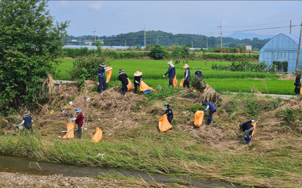 충남도의회 농수산해양위원회는 지난 23일 의회 4개 담당관실(의사·홍보·입법·예산)·충남도 농업기술원·수산자원연구소 수산물안전성센터 등 직원 60여 명과 집중호우로 물에 잠긴 가옥 가전제품·생활용품 등을 정리하고 하천변 쓰레기를 수거하는 등 구슬땀을 흘렸다고 밝혔다. / 충남도의회 제공