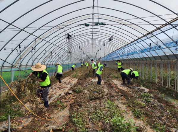 충남신용보증재단은 24일 충남도 내 집중호우로 큰 피해를 입은 중소기업·소상공인을 위해 신속한 금융지원 체계를 가동하고, 피해 현장을 직접 찾아 복구 자원봉사를 실시했다고 밝혔다. / 충남신용보증재단 제공